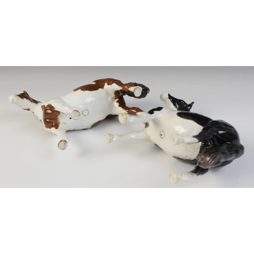 559 - A Beswick Pinto Pony, model No. 1373, first version in skewbald gloss, issued 1955, 16.5 cm high, wi... 