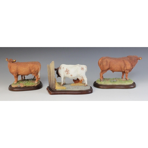 573 - Three Border Fine Arts cattle groups, comprising 