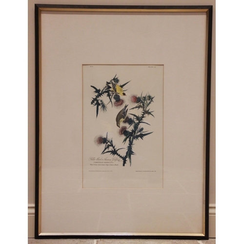 246 - After John J Audubon (American, 1785-1851), 
Four large ornithological studies comprising: 