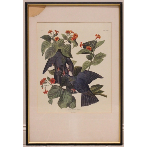 248 - After John J Audubon (American, 1785-1851), 
Five large ornithological studies comprising: 