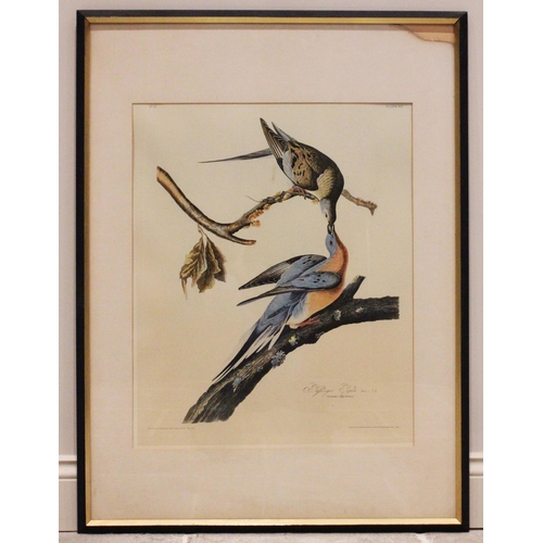 248 - After John J Audubon (American, 1785-1851), 
Five large ornithological studies comprising: 