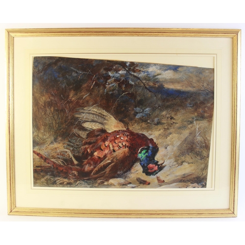 280 - James Hardy Junior (1832-1889),
A pheasant,
Watercolour and gouache on paper,
Signed lower right,
48... 