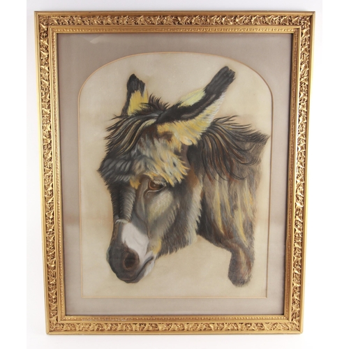 356 - R. S. Burgess (British, 19th century), 
A Victorian portrait of a donkey, 
Pastel and chalk on paper... 