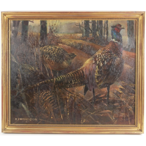 358 - B. Pennington (English school, 20th century), 
Cock and hen pheasants in a woodland landscape, 
Oil ... 