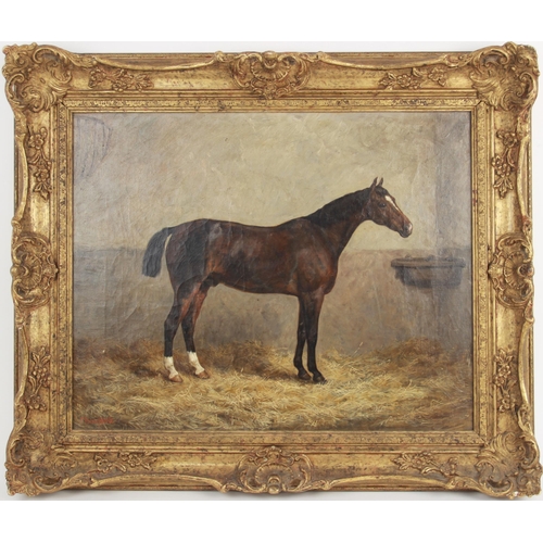 371 - Frank Paton (British, 1856-1909), 
A stabled horse, 
Oil on canvas, 
Signed and dated 