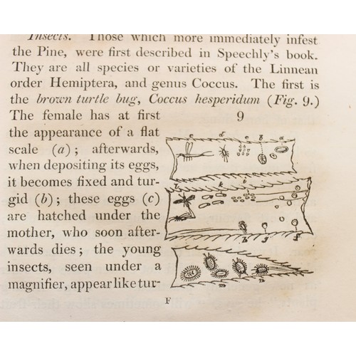 220 - THE DIFFERENT MODES OF CULTIVATING THE PINE-APPLE FROM ITS FIRST INTRODUCTION INTO EUROPE TO THE LAT... 