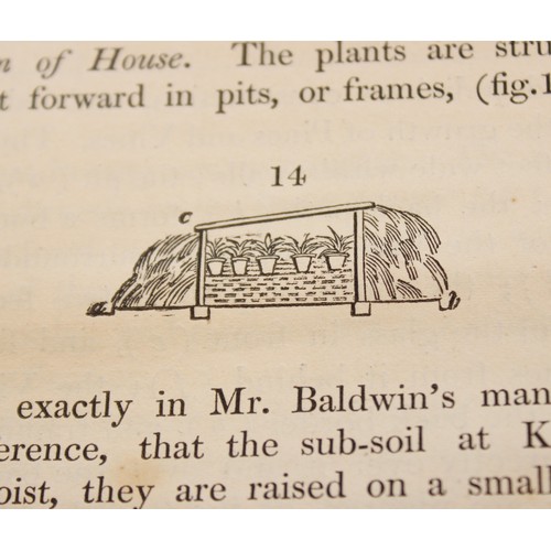 220 - THE DIFFERENT MODES OF CULTIVATING THE PINE-APPLE FROM ITS FIRST INTRODUCTION INTO EUROPE TO THE LAT... 