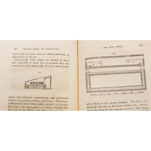 220 - THE DIFFERENT MODES OF CULTIVATING THE PINE-APPLE FROM ITS FIRST INTRODUCTION INTO EUROPE TO THE LAT... 