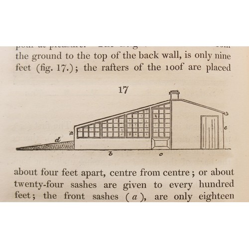 220 - THE DIFFERENT MODES OF CULTIVATING THE PINE-APPLE FROM ITS FIRST INTRODUCTION INTO EUROPE TO THE LAT... 