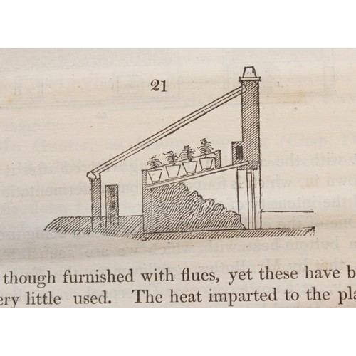 220 - THE DIFFERENT MODES OF CULTIVATING THE PINE-APPLE FROM ITS FIRST INTRODUCTION INTO EUROPE TO THE LAT... 