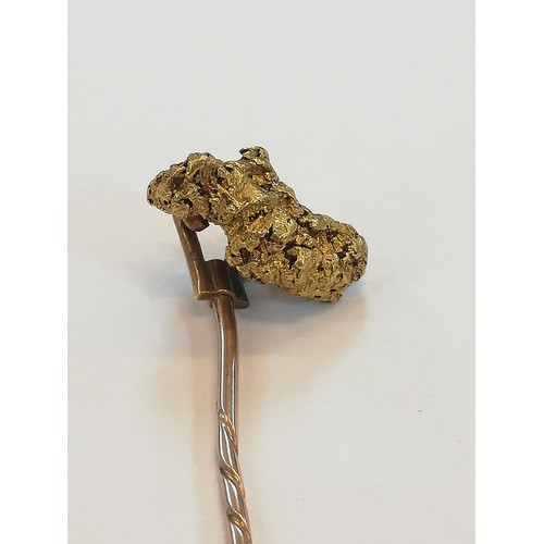 152 - A Victorian 'golden nugget' stick pin, the (untested) nugget measuring 20mm x 12mm, upon a gold colo... 