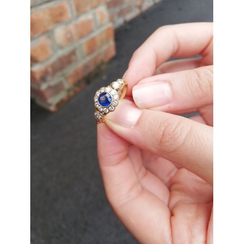 117 - An early 20th century sapphire and diamond floral cluster ring, the central round mixed cut sapphire... 