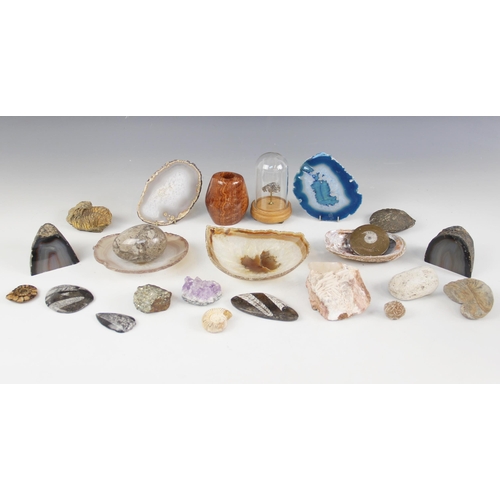 150 - A selection of fossils and mineral specimens, to include a trilobite, 8cm long, three ammonites, the... 