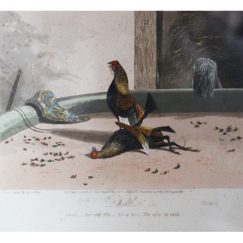 251 - After Newton Fielding (British, 1799-1856), 
Six cock fighting scenes comprising: 