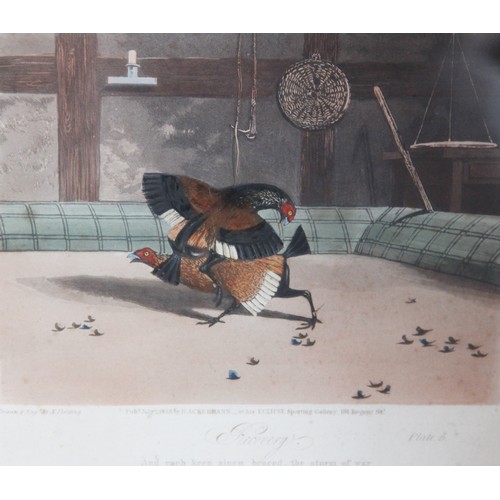 251 - After Newton Fielding (British, 1799-1856), 
Six cock fighting scenes comprising: 