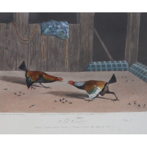 251 - After Newton Fielding (British, 1799-1856), 
Six cock fighting scenes comprising: 