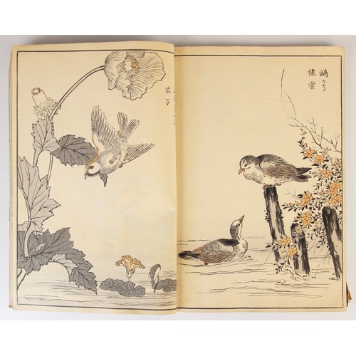 179 - Bunrei (Maekawa, 1837-1917), Studies of Birds and Plants by Bunrei, Yokohama, Hobusho-kai, circa. 18... 