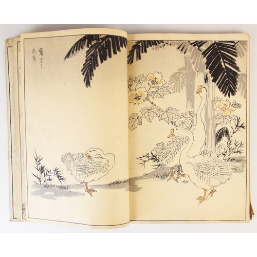 179 - Bunrei (Maekawa, 1837-1917), Studies of Birds and Plants by Bunrei, Yokohama, Hobusho-kai, circa. 18... 