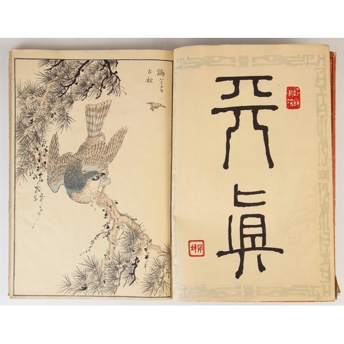 179 - Bunrei (Maekawa, 1837-1917), Studies of Birds and Plants by Bunrei, Yokohama, Hobusho-kai, circa. 18... 