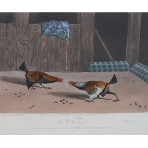 261 - After Newton Fielding (British, 1799-1856), 
Six cock fighting scenes comprising: 