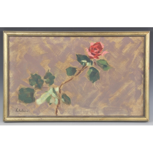 377 - David Wilson (English school, 20th century),  
Study of a rose,  
Oil on canvas,  
Signed lower left... 