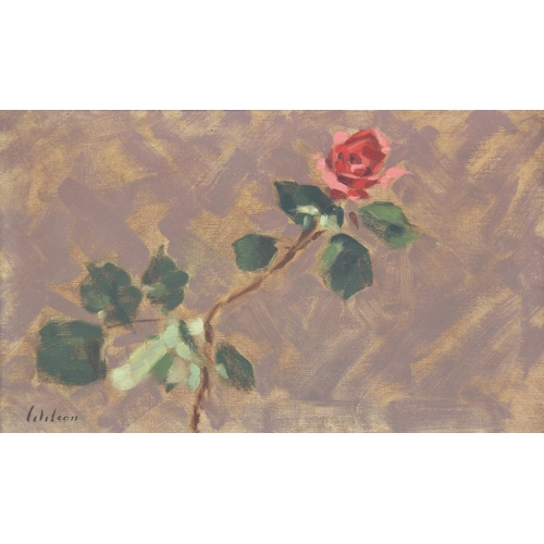 377 - David Wilson (English school, 20th century),  
Study of a rose,  
Oil on canvas,  
Signed lower left... 