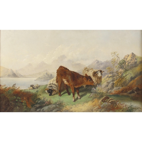 373 - English school (19th century),  
A calf with sheep in a mountainous landscape,  
Oil on canvas,  
Un... 