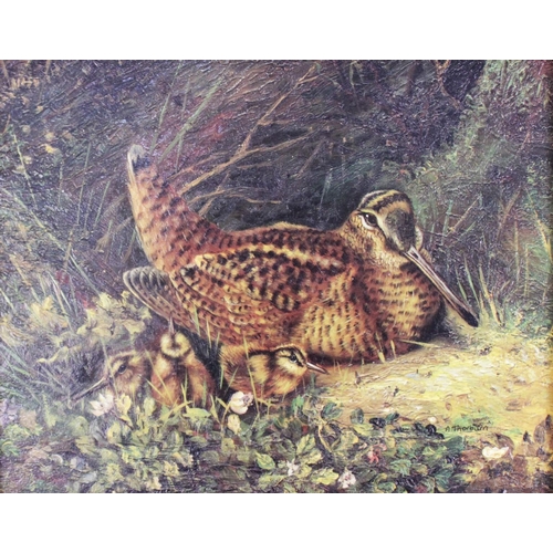 279 - After Archibald Thorburn (1860-1935), 
Woodcock and chicks, 
Textured colour print, 
19cm x 24cm, 
E... 