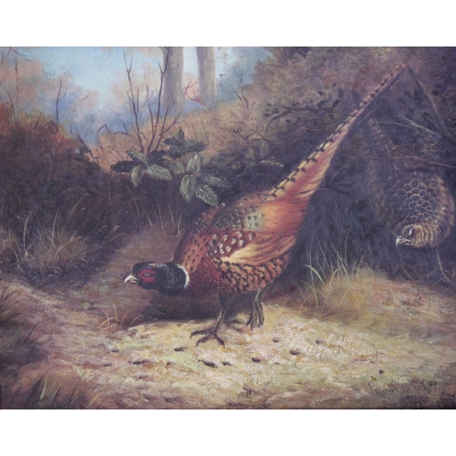 279 - After Archibald Thorburn (1860-1935), 
Woodcock and chicks, 
Textured colour print, 
19cm x 24cm, 
E... 