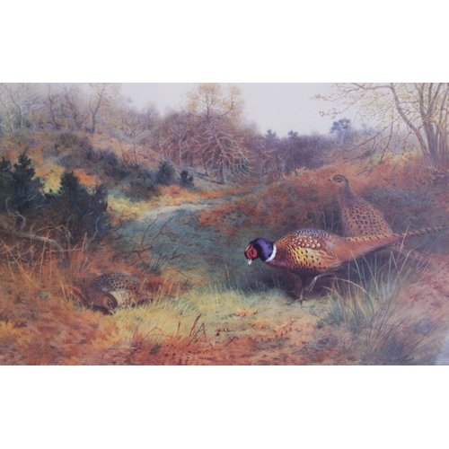 279 - After Archibald Thorburn (1860-1935), 
Woodcock and chicks, 
Textured colour print, 
19cm x 24cm, 
E... 