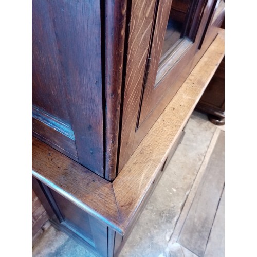 793 - A Victorian oak Gothic library bookcase, the moulded cornice above a pair of glazed doors applied wi... 