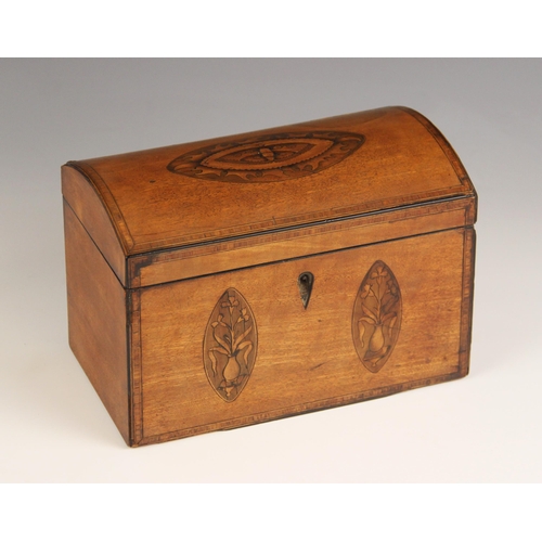 668 - A George III mahogany domed caddy, the hinged cover centred with an inlaid oval enclosing moth detai... 