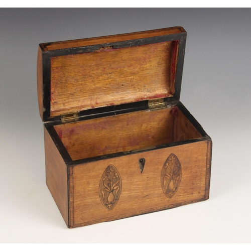 668 - A George III mahogany domed caddy, the hinged cover centred with an inlaid oval enclosing moth detai... 