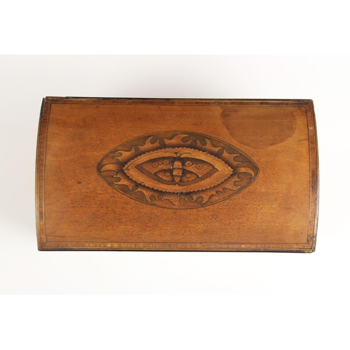 668 - A George III mahogany domed caddy, the hinged cover centred with an inlaid oval enclosing moth detai... 