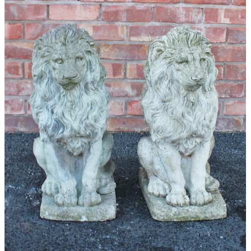 547 - A pair of reconstituted stone lions, each modelled in a seated position upon an integrated rectangul... 