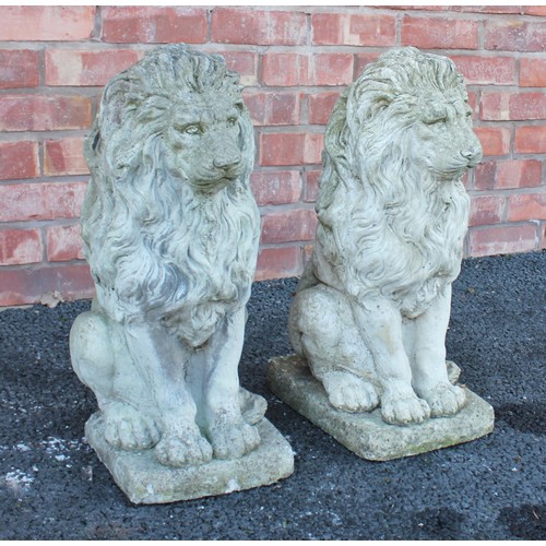 547 - A pair of reconstituted stone lions, each modelled in a seated position upon an integrated rectangul... 