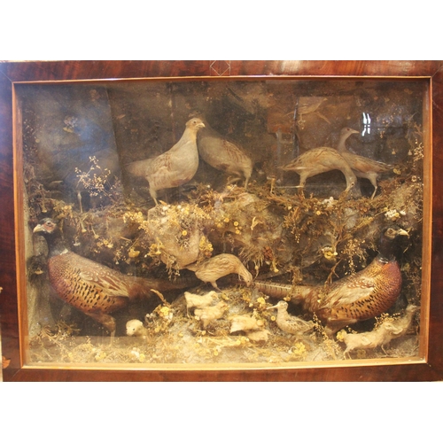 639 - TAXIDERMY - A Victorian taxidermy gamebird panorama of large proportions, to include ptarmigan and p... 