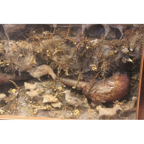 639 - TAXIDERMY - A Victorian taxidermy gamebird panorama of large proportions, to include ptarmigan and p... 