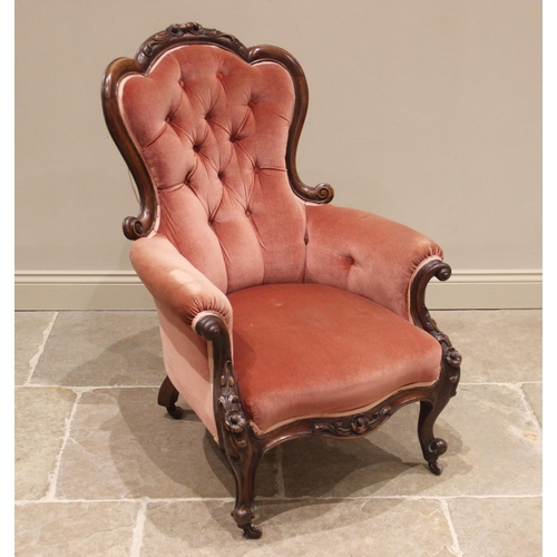 659 - A Victorian carved walnut and rose pink velour salon chair, the shaped button back framed by a folia... 