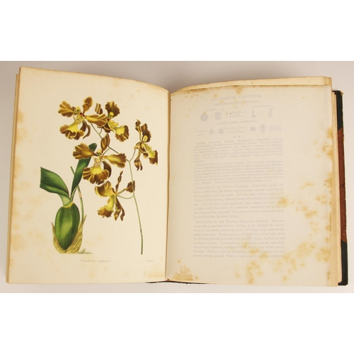 280 - Maund (B) and Henslow (Rev J.S.), THE BOTANIST; CONTAINING ACCURATELY COLOURED FIGURES OF TENDER AND... 