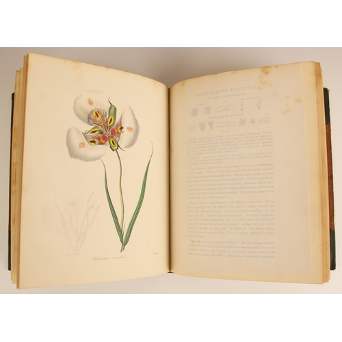 280 - Maund (B) and Henslow (Rev J.S.), THE BOTANIST; CONTAINING ACCURATELY COLOURED FIGURES OF TENDER AND... 