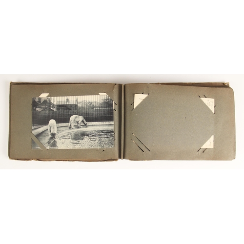 286 - An album containing approximately sixty postcards, to include equestrian cards by Nanni, actress por... 