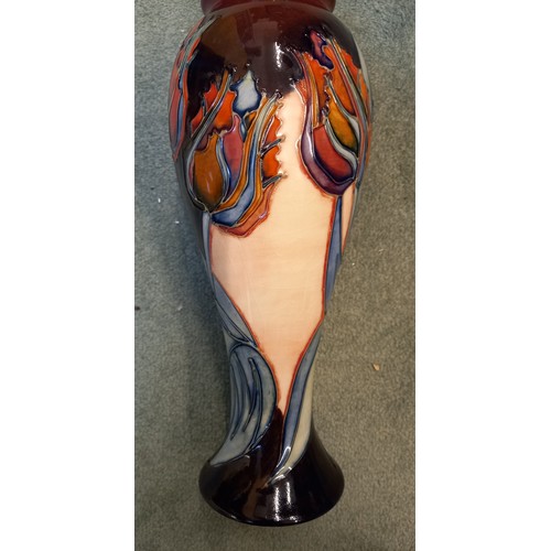 491 - A Moorcroft vase in the Red Tulip pattern designed by Sally Tuffin, of slender inverted baluster for... 