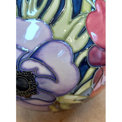 490 - A Moorcroft vase decorated in the Anenome Tribute [to Walter Moorcroft] pattern designed by Emma Bos... 