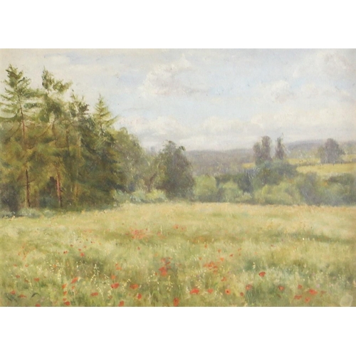 376 - English school (20th century),  
An impressionistic landscape with poppy field, and another with hay... 