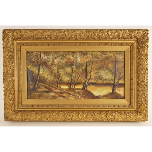 379 - British School (late 19th century),  
A woodland river landscape,  
Oil on canvas,  
Unsigned,  
29c... 