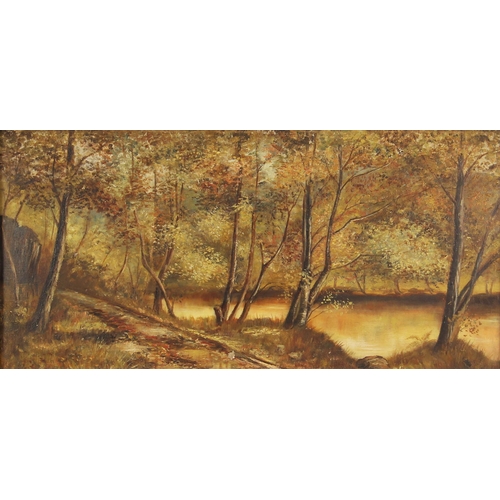 379 - British School (late 19th century),  
A woodland river landscape,  
Oil on canvas,  
Unsigned,  
29c... 