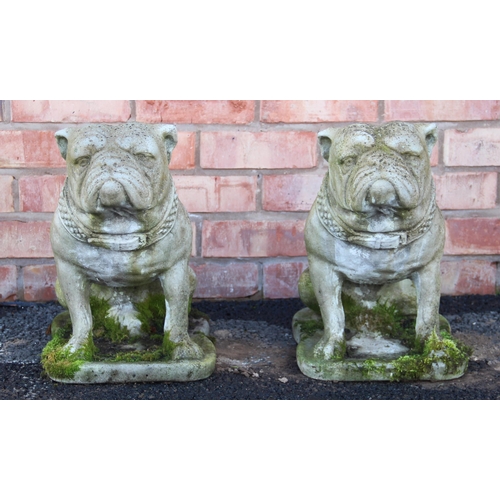 716 - A pair of reconstituted stone garden ornaments, modelled as seated bulldogs upon integral plinths, 4... 