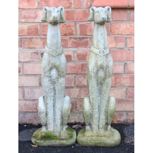 717 - A pair of reconstituted stone garden ornaments, modelled as seated whippets upon integral plinths, 8... 