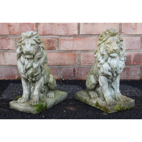 718 - A pair of reconstituted stone garden ornaments, modelled as lions in a seated position, 37cm high (2... 